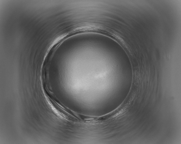 X0000052931034200507151611