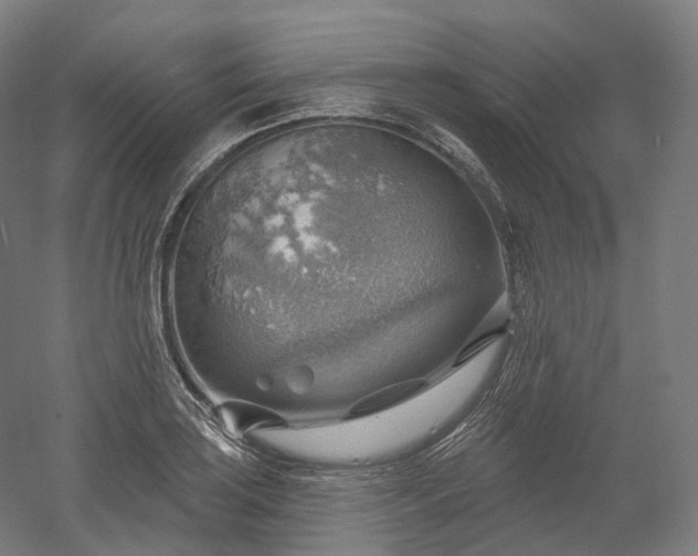 X0000052931035200507151611