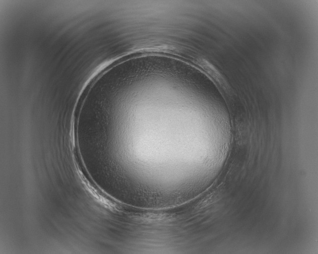 X0000052931036200507151611