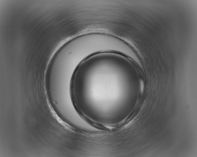 X0000052931038200507151611