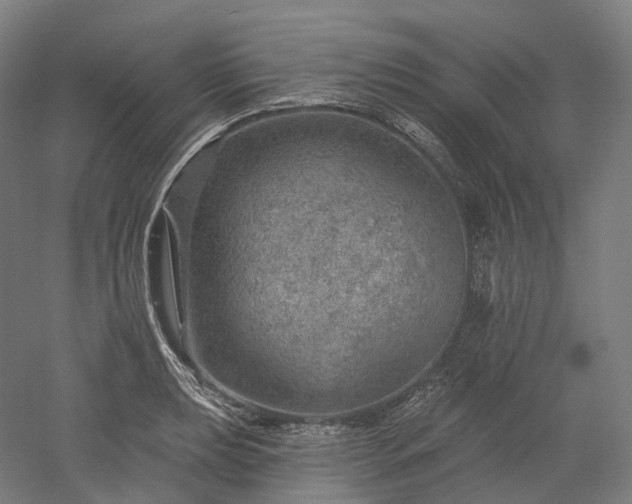 X0000052931039200507151611