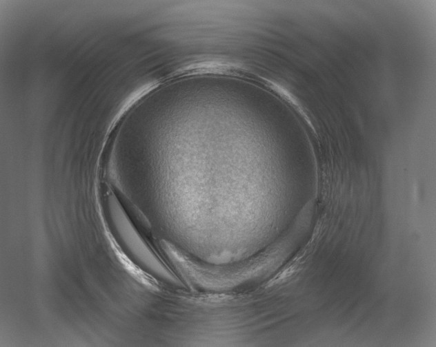 X0000052931042200507151611