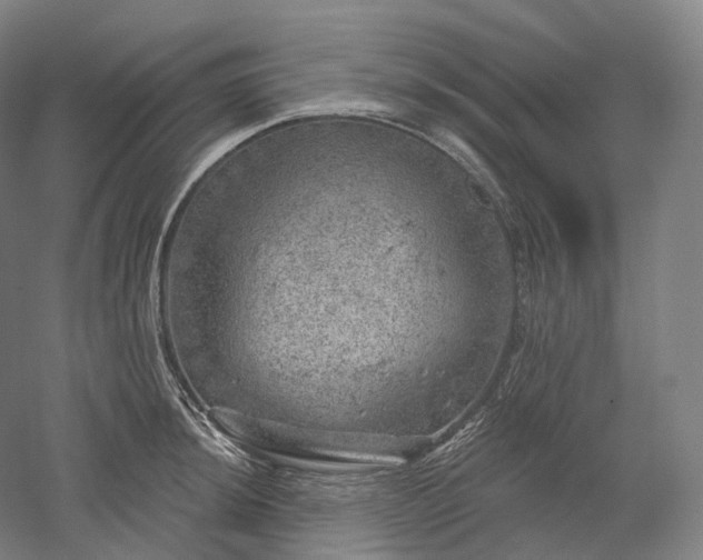 X0000052931044200507151611