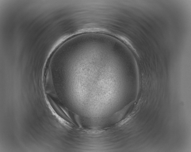 X0000052931046200507151611
