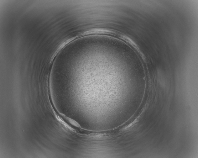 X0000052931049200507151611