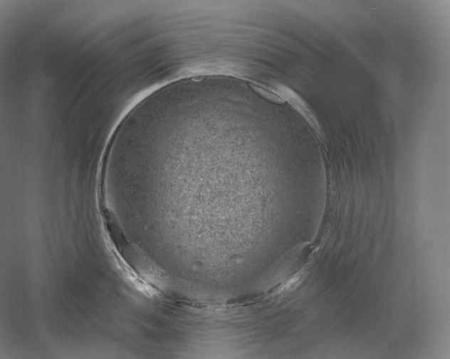 X0000052931052200507151612