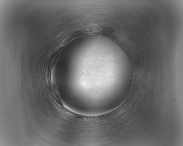 X0000052931058200507151611