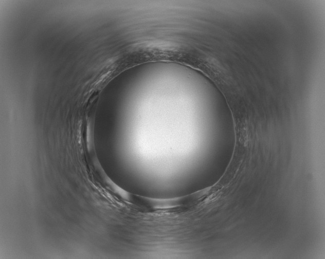 X0000052931061200507151611