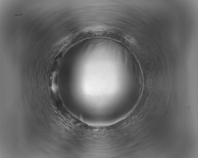 X0000052931062200507151611