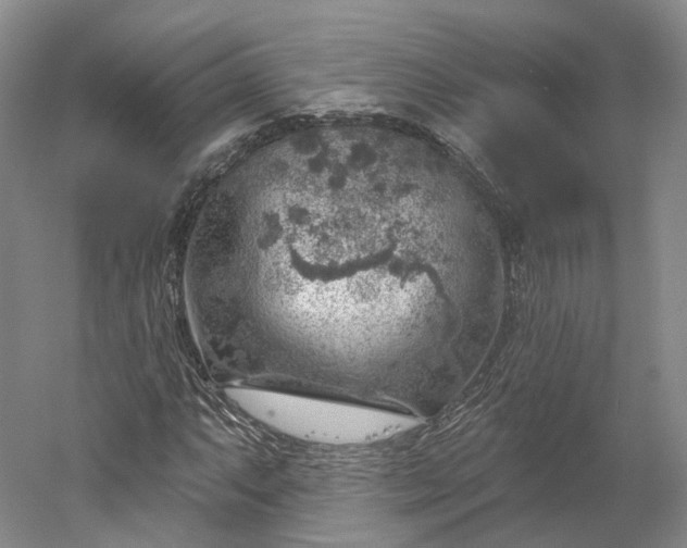 X0000052931063200507151611