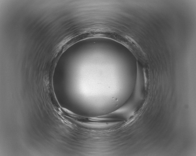 X0000052931065200507151611