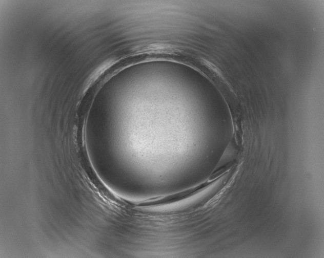 X0000052931066200507151611