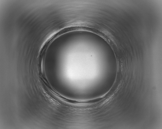 X0000052931069200507151611