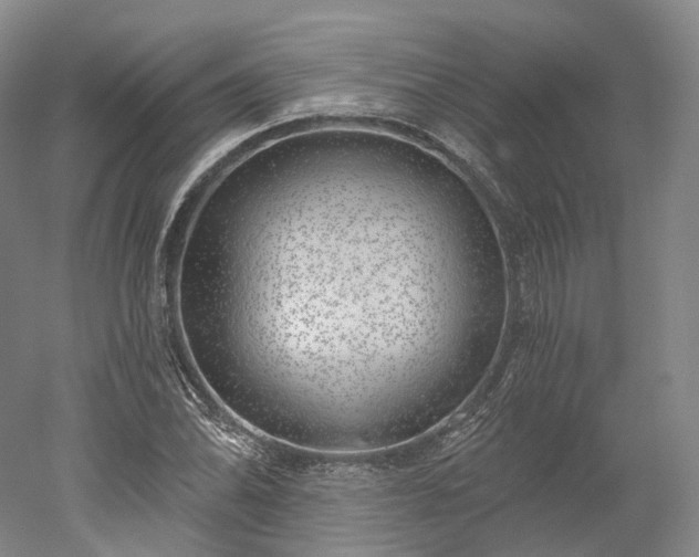 X0000052931070200507151611