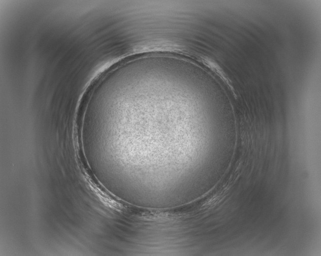 X0000052931072200507151611