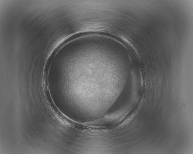 X0000052931077200507151610