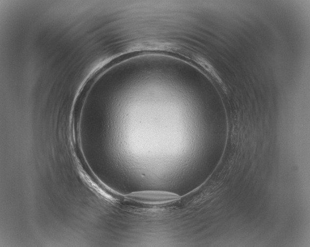 X0000052931080200507151610