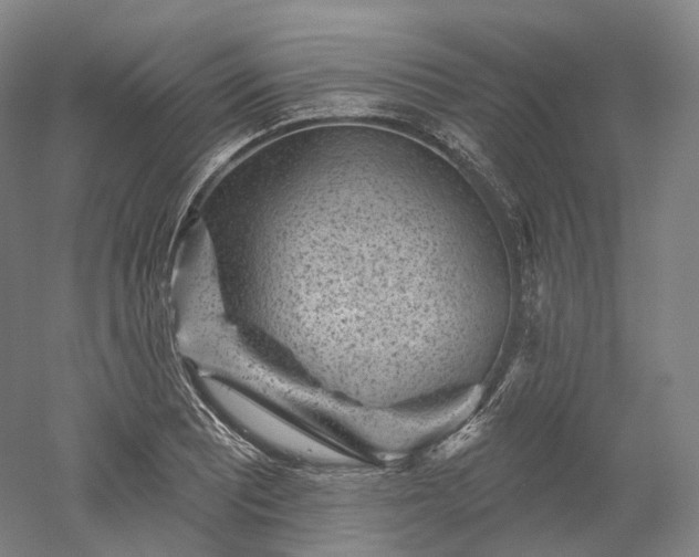 X0000052931081200507151610