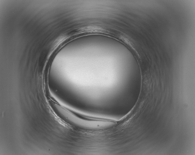 X0000052931082200507151610