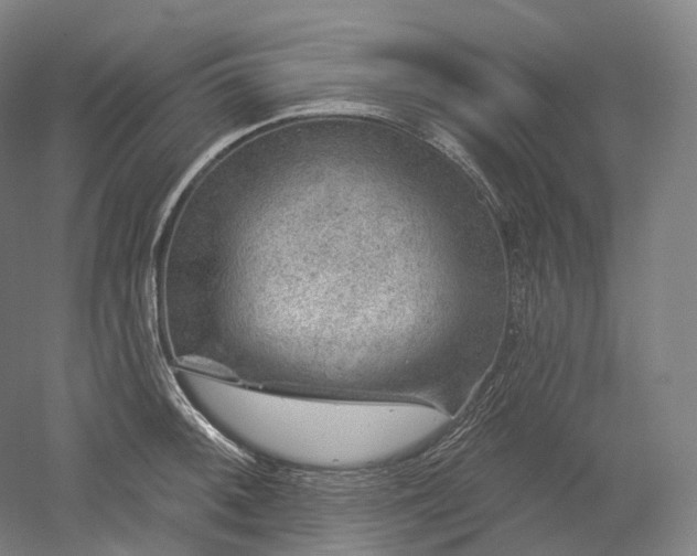 X0000052931092200507151610