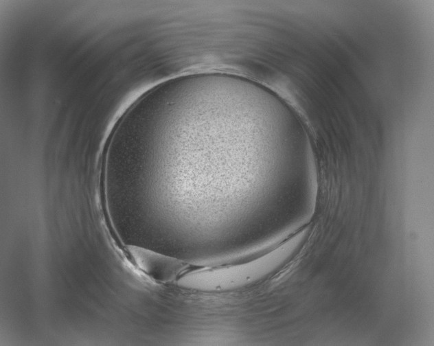 X0000052931102200507151610