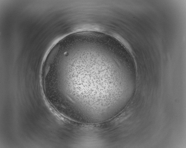 X0000052931104200507151610