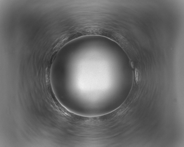 X0000052931107200507151609