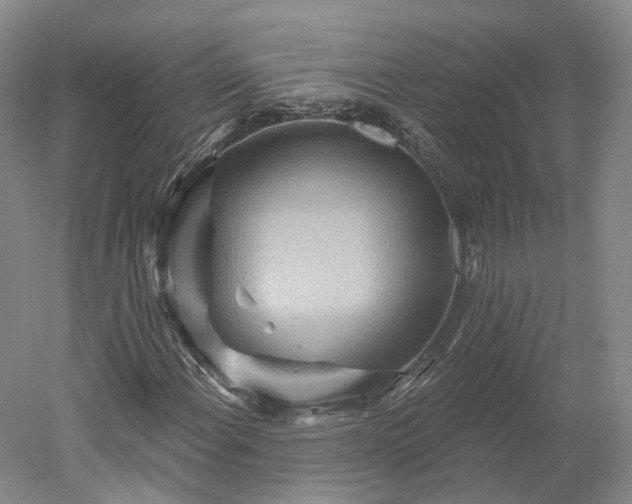 X0000052931108200507151609