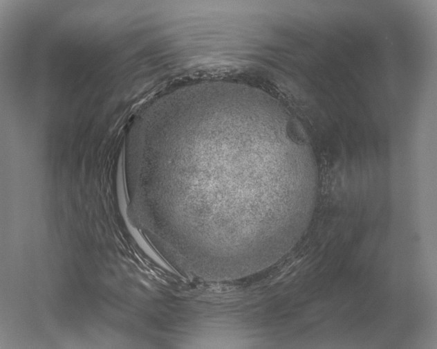 X0000052931109200507151609