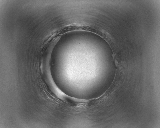 X0000052931110200507151609