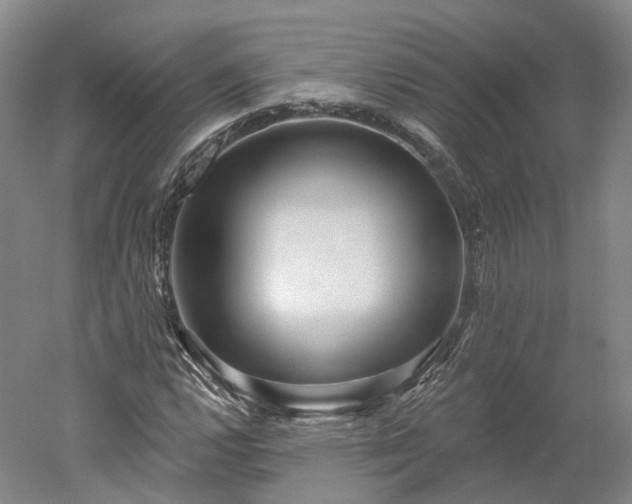X0000052931112200507151609