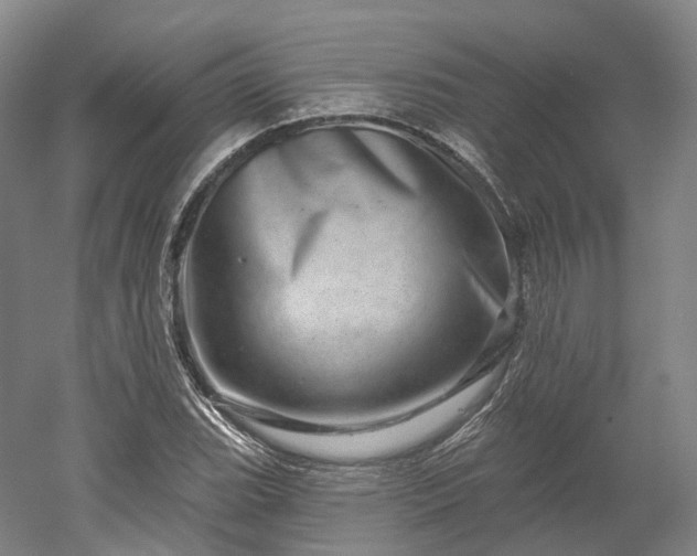 X0000052931119200507151609