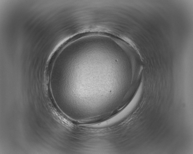 X0000052931120200507151609