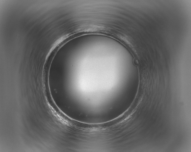 X0000052931122200507151609