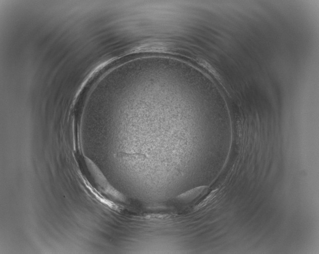 X0000052931123200507151609