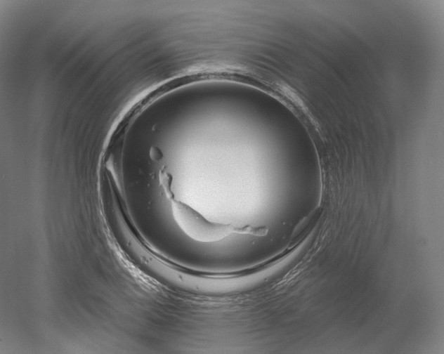 X0000052931124200507151609