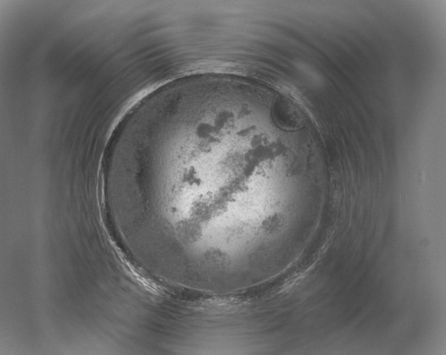 X0000052931125200507151609