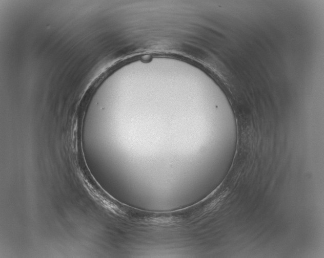X0000052931126200507151610