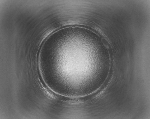 X0000052931129200507151610