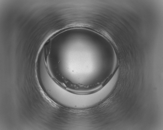 X0000052931132200507151610