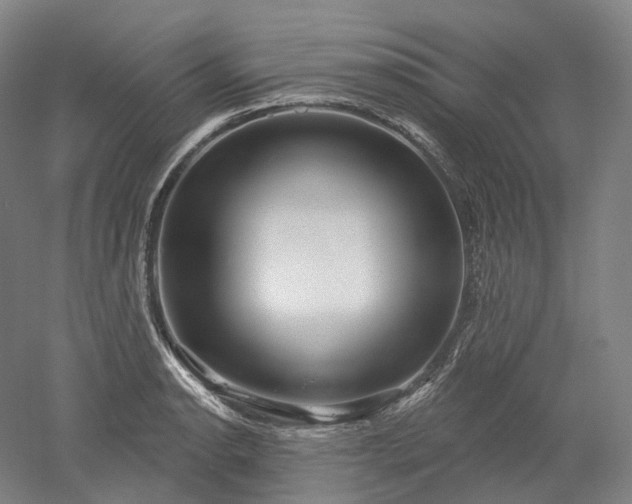 X0000052931134200507151610