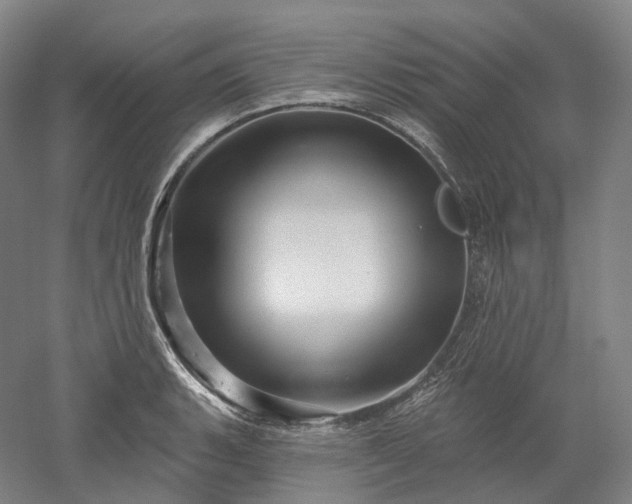 X0000052931135200507151610