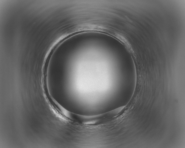 X0000052931136200507151610
