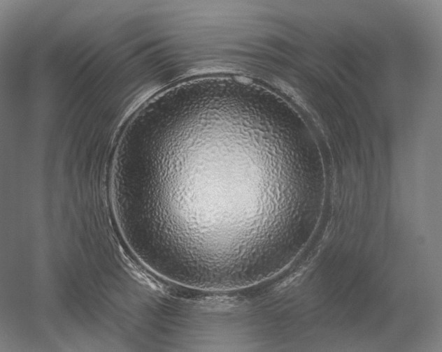 X0000052931137200507151610