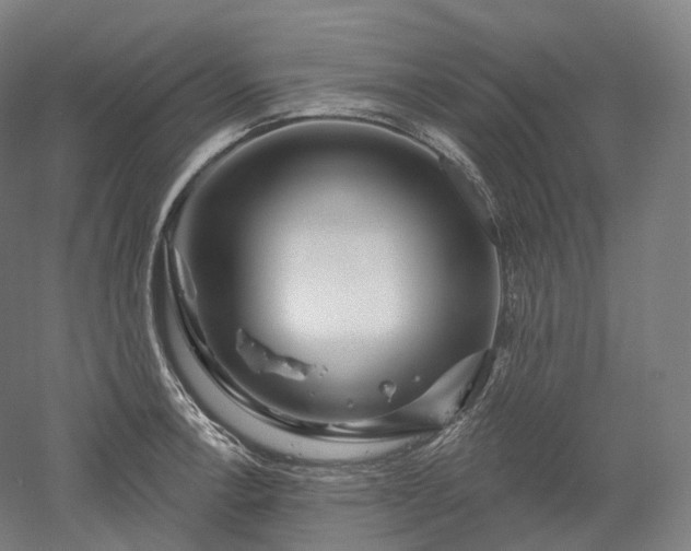 X0000052931138200507151610