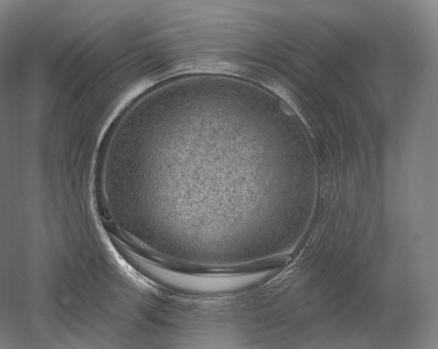 X0000052931139200507151610