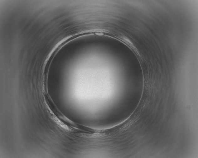 X0000052931140200507151610