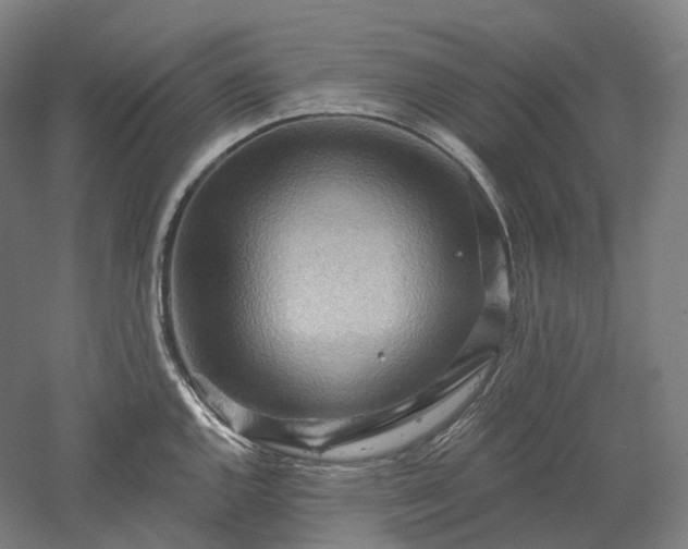 X0000052931144200507151610