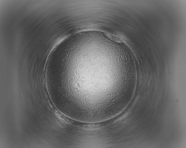 X0000052931145200507151610