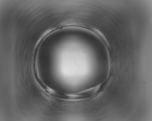 X0000052931146200507151610
